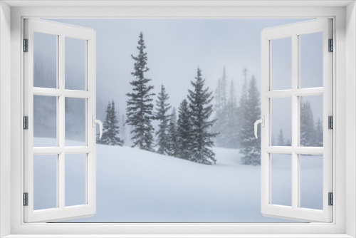 Fototapeta Naklejka Na Ścianę Okno 3D - Subalpine Winter