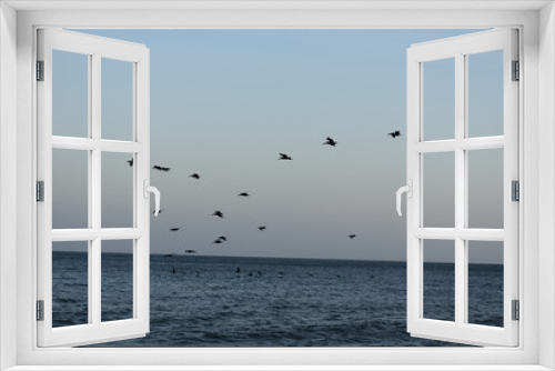 Fototapeta Naklejka Na Ścianę Okno 3D - birds flying ocean