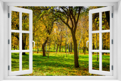 Fototapeta Naklejka Na Ścianę Okno 3D - Beautiful autumn park