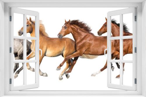 Fototapeta Naklejka Na Ścianę Okno 3D - Horse herd run fast in white background