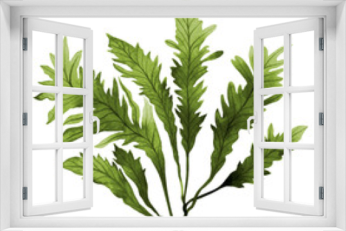 Fototapeta Naklejka Na Ścianę Okno 3D - Green leaf,Green Seaweed, kelp, Algae in the ocean, watercolor hand painted element isolated on white background. Watercolor green seaweed,green leaves  illustration design. With clipping path.