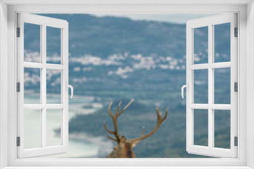 Fototapeta Naklejka Na Ścianę Okno 3D - parco nazionale d'abruzzo