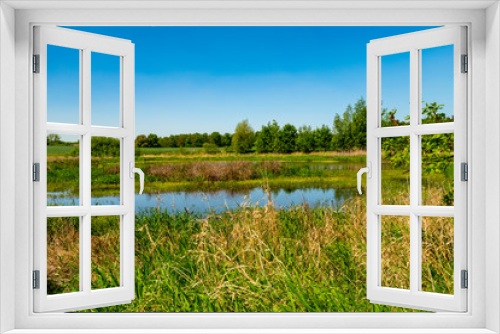 Fototapeta Naklejka Na Ścianę Okno 3D - View to a pond in the local recreational area 