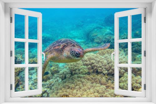 Fototapeta Naklejka Na Ścianę Okno 3D - Green turtle in corals underwater photo. Sea turtle closeup. Oceanic animal in wild nature. Summer vacation activity