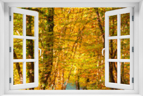 Fototapeta Naklejka Na Ścianę Okno 3D - Forêt d'automne
