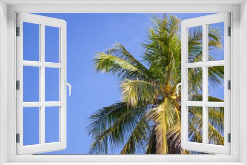 Fototapeta Naklejka Na Ścianę Okno 3D - Coconut tree with blue sky background.