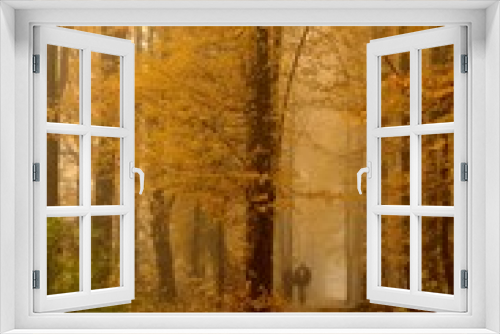 Fototapeta Naklejka Na Ścianę Okno 3D - zamglony las