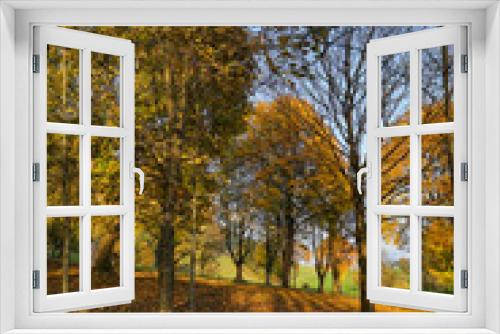 Fototapeta Naklejka Na Ścianę Okno 3D - Schöner Herbstlicher Wald in bunten Farben