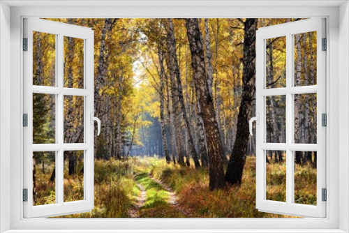 Fototapeta Naklejka Na Ścianę Okno 3D - Autumn in the Ural forest