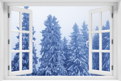 Fototapeta Naklejka Na Ścianę Okno 3D - Frozen snow-covered fir-trees in magic forest after snowfall