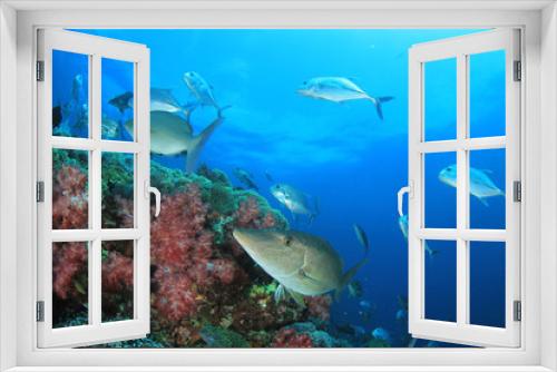 Fototapeta Naklejka Na Ścianę Okno 3D - Tuna and sardines fish in ocean