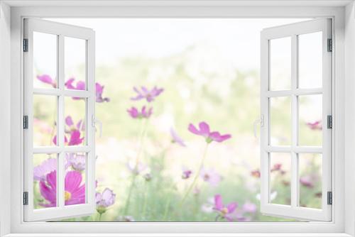 Fototapeta Naklejka Na Ścianę Okno 3D - Cosmos flower garden Pink and white In the sky and mountains, Customize the image with pale white.