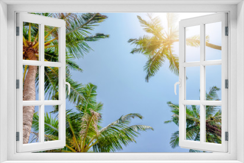 Fototapeta Naklejka Na Ścianę Okno 3D -  Under palm trees view, sunny day in tropic island..