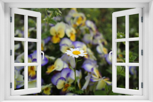 Fototapeta Naklejka Na Ścianę Okno 3D - 春の花
