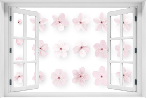 Fototapeta Naklejka Na Ścianę Okno 3D - Realistic sakura or cherry blossom; Japanese Spring Flower Sakura; Pink Cherry Flower.