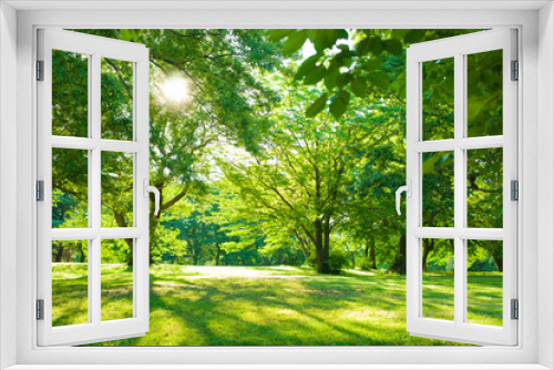 Fototapeta Naklejka Na Ścianę Okno 3D - morning garden