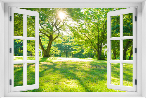 Fototapeta Naklejka Na Ścianę Okno 3D - sunshine garden