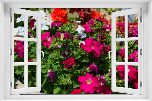 Fototapeta Naklejka Na Ścianę Okno 3D - garden flowers
