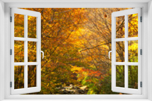 Fototapeta Naklejka Na Ścianę Okno 3D - Smoky Mountains in fall colors.