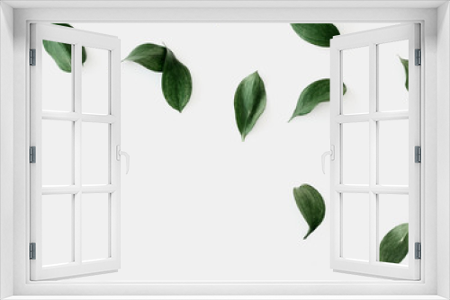 Fototapeta Naklejka Na Ścianę Okno 3D - Green leaves mockup