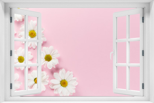 Fototapeta Naklejka Na Ścianę Okno 3D - White daisies flowers.