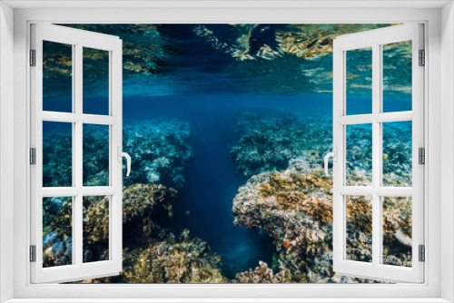 Fototapeta Naklejka Na Ścianę Okno 3D - Underwater rocks with corals in blue ocean. Menjangan island