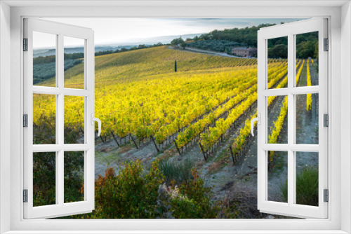 Fototapeta Naklejka Na Ścianę Okno 3D - Chianti Region, vineyards in autumn at sunset. Tuscany, Italy