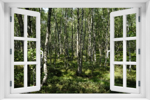 Fototapeta Naklejka Na Ścianę Okno 3D - Das Naturschutzgebiet 