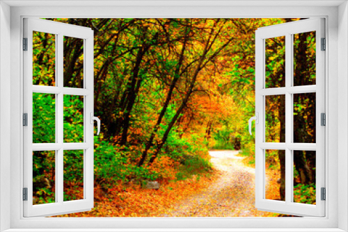 Fototapeta Naklejka Na Ścianę Okno 3D - autumn road in the forest