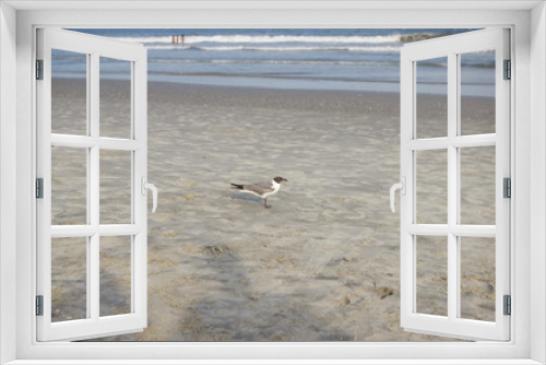 Fototapeta Naklejka Na Ścianę Okno 3D - A seagull stands on the sea coast on the sand against the background of the sea. In the summer, the seagull on the coast is about to fly over the ocean.
