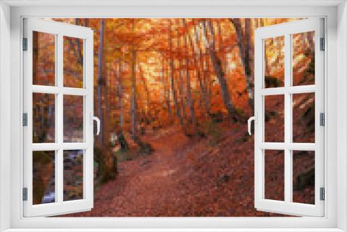 Fototapeta Naklejka Na Ścianę Okno 3D - beech forest autumn mountains