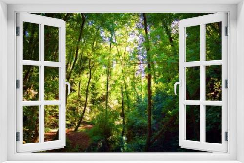 Fototapeta Naklejka Na Ścianę Okno 3D - paesaggio naturale boschivo nei pressi di San Vincenzo a Torri, nel comune di Scandicci, in provincia di Firenze, Italia