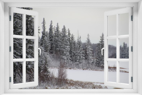 Fototapeta Naklejka Na Ścianę Okno 3D - Frosted Islands, Elk Island National Park, Alberta