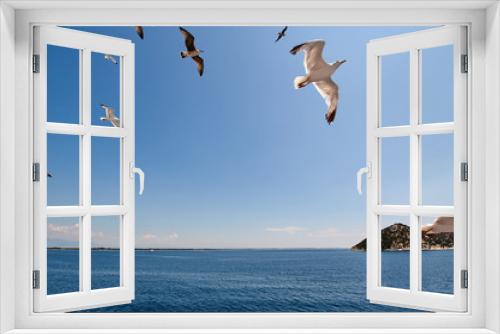 Fototapeta Naklejka Na Ścianę Okno 3D - Flock of seagulls flying over a ferry to Thassos, Greece