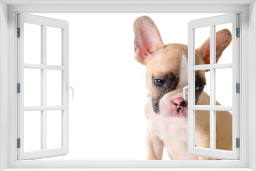 Fototapeta Naklejka Na Ścianę Okno 3D - Cute little French bulldog thinking isolated