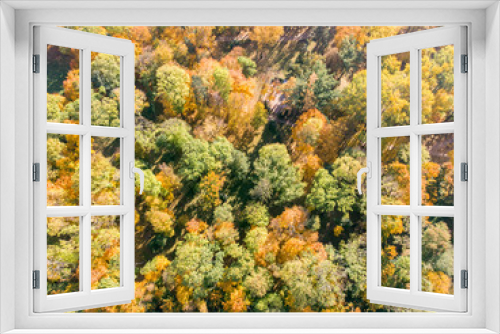 Fototapeta Naklejka Na Ścianę Okno 3D - beautiful natural scene, aerial top view. bushy park trees with bright yellow and orange leaves in autumn