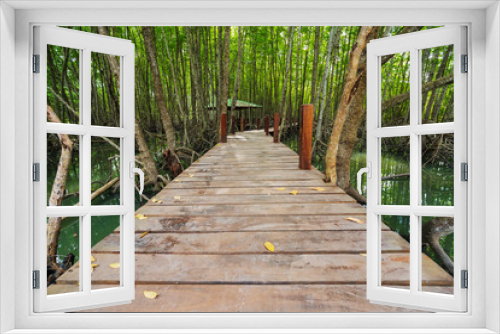 Fototapeta Naklejka Na Ścianę Okno 3D - wooden bridge in a mangrove forest at Tung Prong Thong, Rayong, Thailand