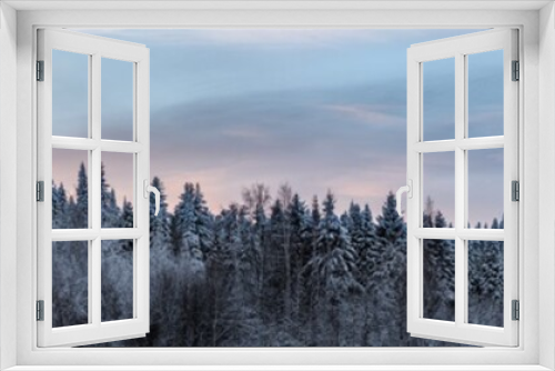 Fototapeta Naklejka Na Ścianę Okno 3D - panoramic view of winter spruce forest against the sunset sky. Big size image.