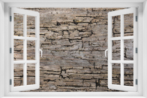 Fototapeta Naklejka Na Ścianę Okno 3D - The old wood texture with natural patterns