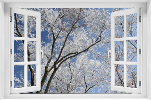 Fototapeta Naklejka Na Ścianę Okno 3D - snow-covered trees against a blue sky