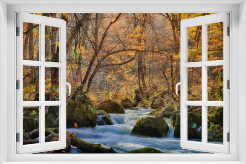 Fototapeta Naklejka Na Ścianę Okno 3D - The Oirase Gorge beautiful river druing the autumn season, Japan