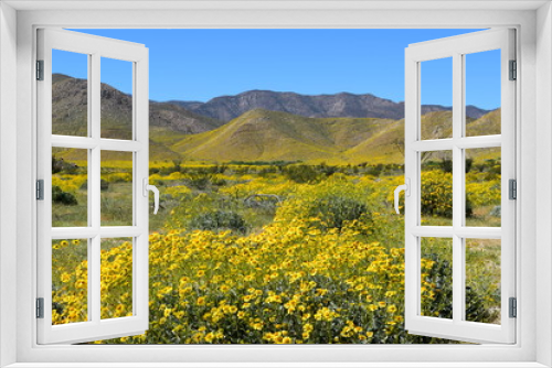 Fototapeta Naklejka Na Ścianę Okno 3D - 砂漠と春の息吹