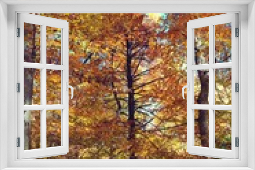 Fototapeta Naklejka Na Ścianę Okno 3D - Yellow Autumn woods in Catotin State Park Maryland 