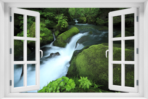 Fototapeta Naklejka Na Ścianę Okno 3D - water spring in forest