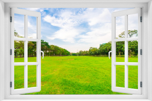 Fototapeta Naklejka Na Ścianę Okno 3D - Green grass field with tree public park