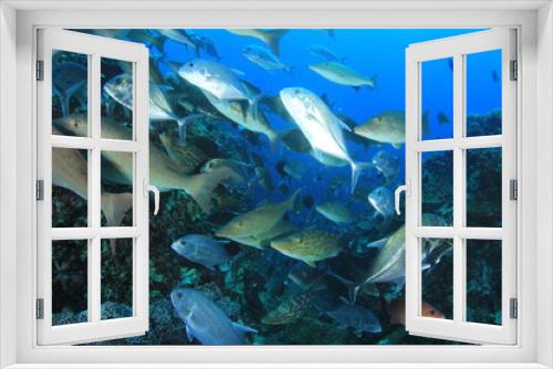 Fototapeta Naklejka Na Ścianę Okno 3D - Underwater fish on coral reef 