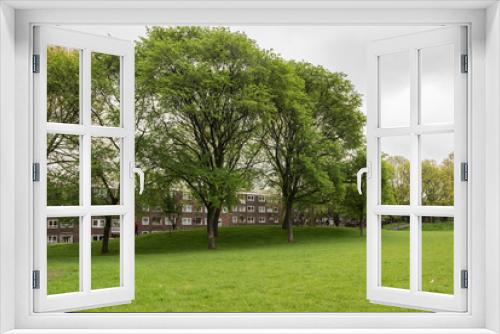 Fototapeta Naklejka Na Ścianę Okno 3D - La famosa erba all'inglese