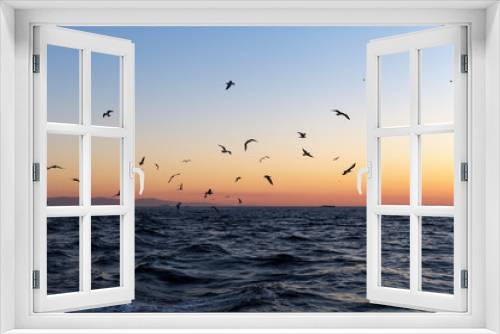 Fototapeta Naklejka Na Ścianę Okno 3D - seagulls on sunset