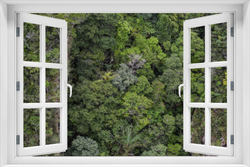 Fototapeta Naklejka Na Ścianę Okno 3D - Aerial view of a green forest