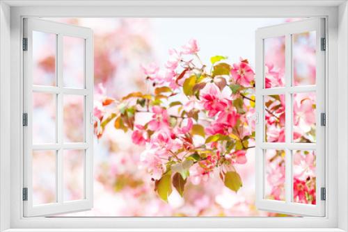 Fototapeta Naklejka Na Ścianę Okno 3D - Spring garden landscape pink blossom fruit tree branch. Beautiful pink apple tree with many flowers springtime sunny day scene, selective focus